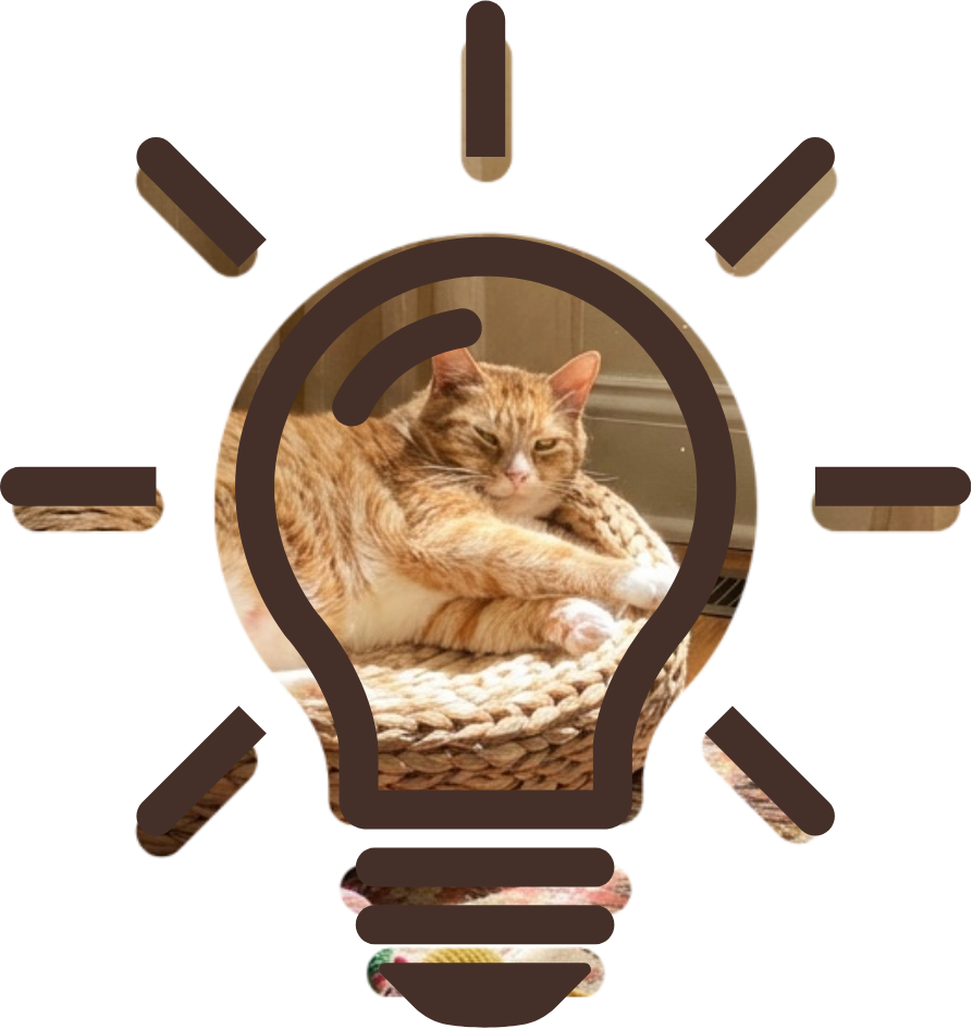 Senior Pet Care boarding accommodations at Laurel Pet Resort in Raytown, Missouri