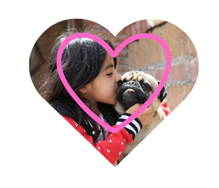 Grooming and boarding care for dogs and cats at Laurel Pet Resort near Kansas City, MO